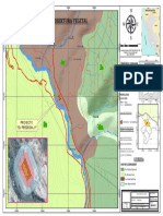 Cobertura Vegetal PDF