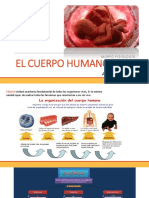 elcuerpohumano-170602003846