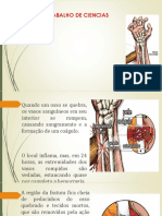 Trabalho de Ciencias