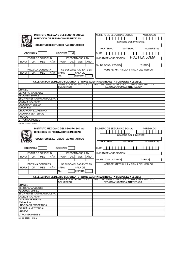 Formato RX Chido PDF
