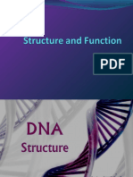 DNA Structure