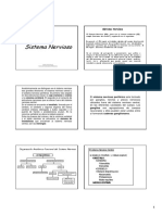 Sistema nervioso.pdf