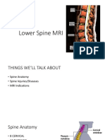 Lower Spine MRI