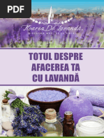Plan De Afacere Lavanda Maria S
