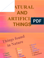 Natural and Artificial Things