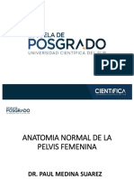 Anatomia Normal de La Pelvis Femenina