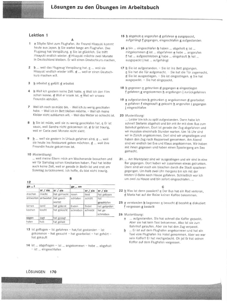 Lösungen AB Schritte 3 | PDF