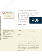 Animal Models of Bovine Leukemia Virus and Human T-Lymphotrophic Virus Type-1: Insights in Transmission and Pathogenesis