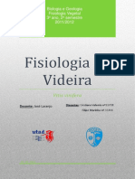 trabalhovideira-140203133505-phpapp01.pdf