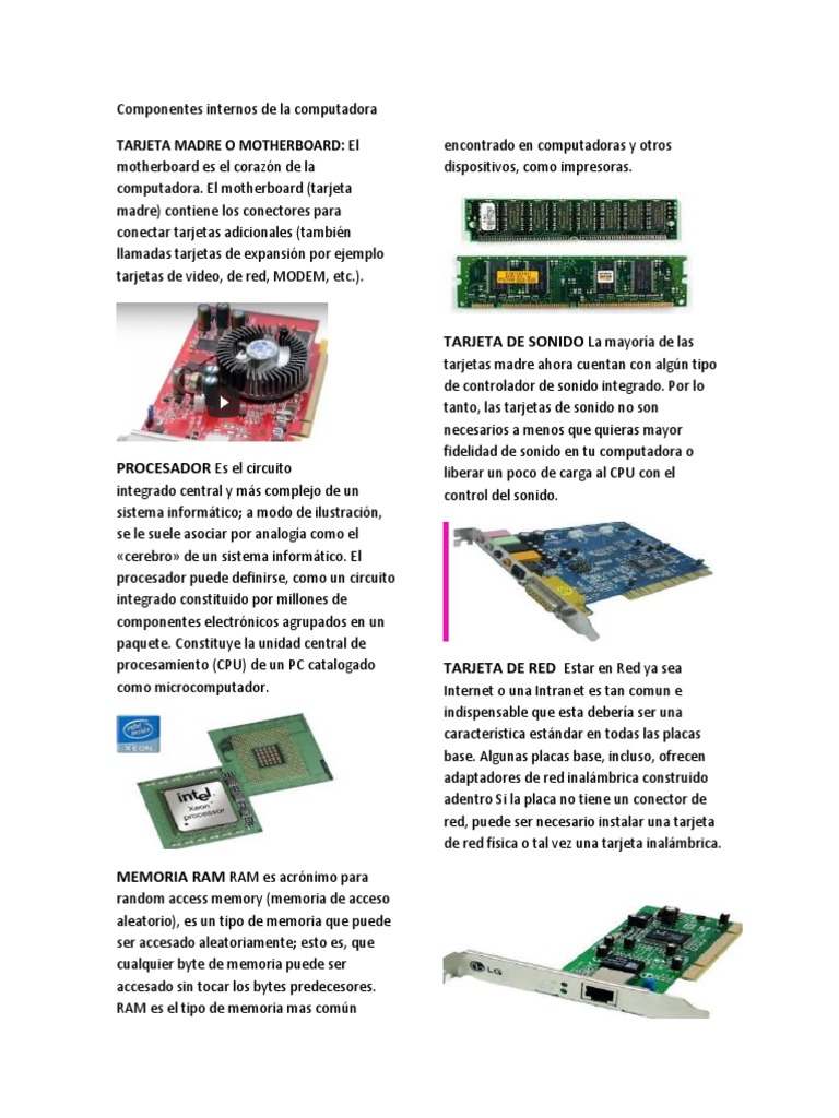 Componentes Internos de La Computadora | PDF | Red de computadoras ...