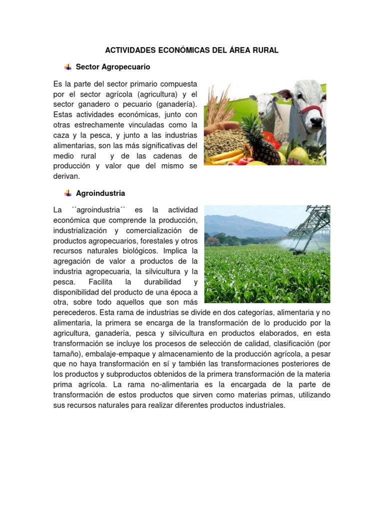 Actividades Económicas en el Ámbito Rural | PDF | Agricultura | Entorno ...