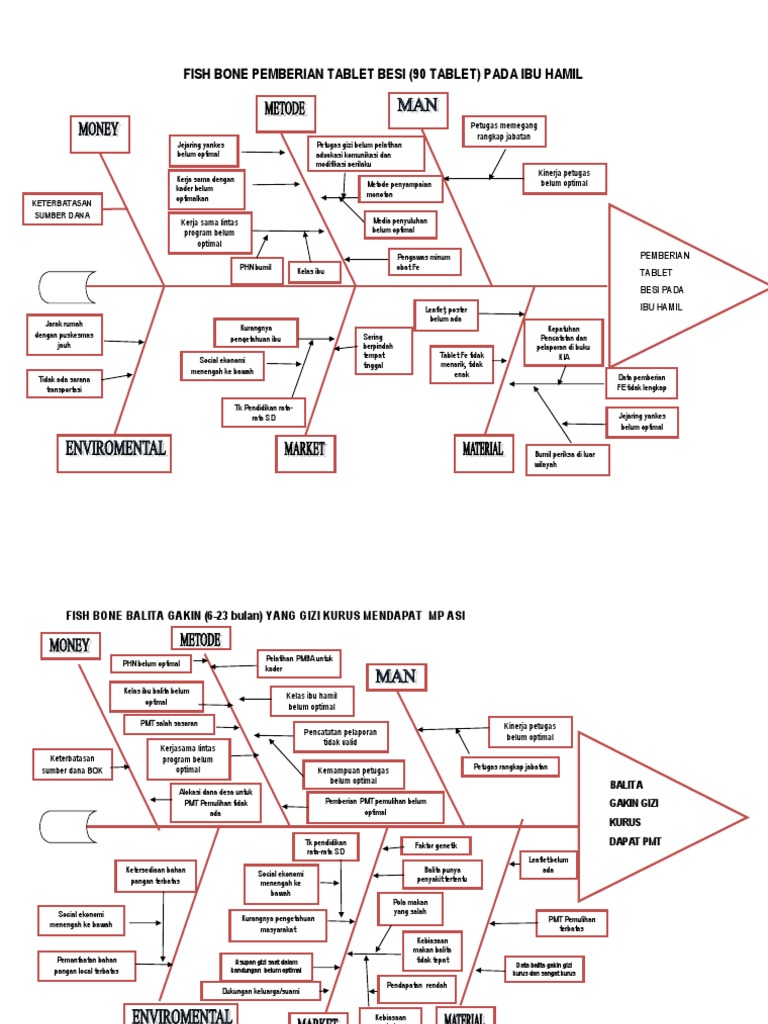 Analisis Fishbone Pemberian Tablet Besi | PDF