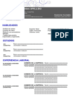 Plantilla de Curriculum Vitae