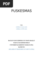 Download Puskesmas by Hadi Sumitro Jioe MD SN37664660 doc pdf