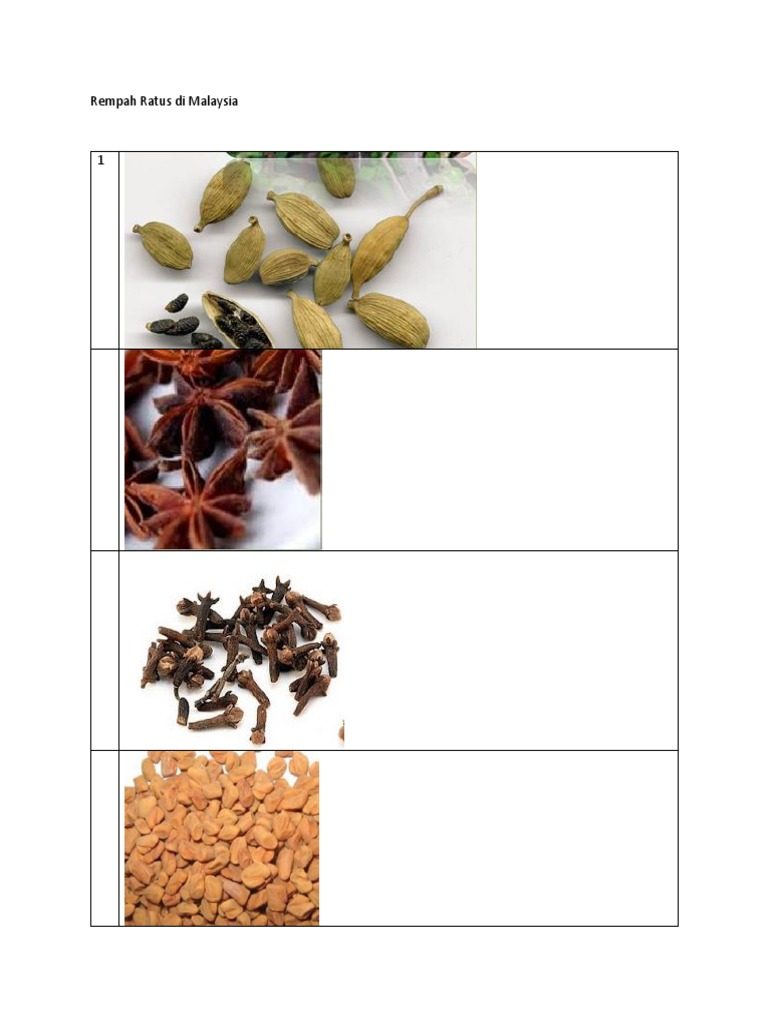 Rempah Ratus Di Malaysia | PDF