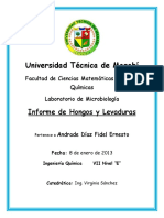 127294953-Informe-de-Hongos-y-Levaduras.docx