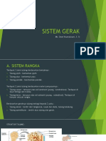 Sistem Gerak