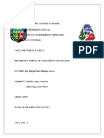 Informe-04 Plasticidad