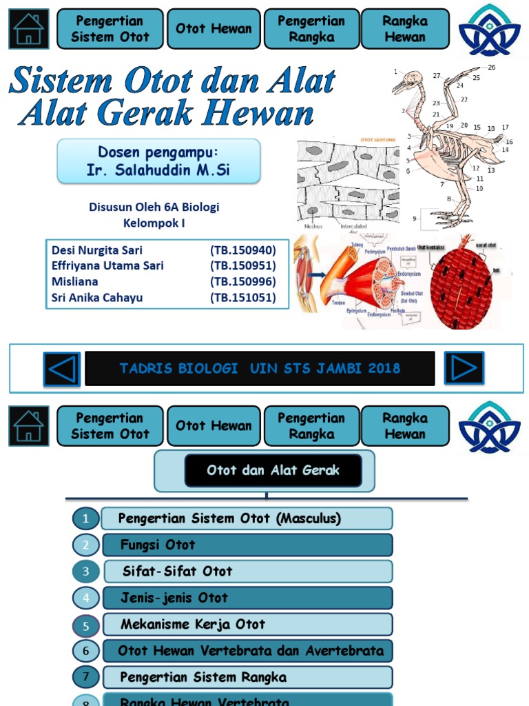 Otot dan  alat  gerak  hewan  1 pptx