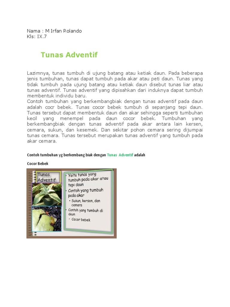 IPA Tunas Adventif PDF