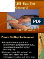 Gizi Seimbang Bagi Ibu Menyusui