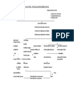 Acute Pyelonephritis Pa Tho Physiology