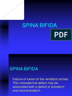 Spina Bifida