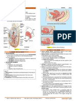 The Vagina - Structure - Function - Histology - TeachMeAnatomy