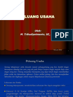 Peluang Usaha