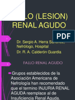 Insuficiencia Renal Aguda