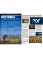 Deforestation & The Forest Stewardship Council