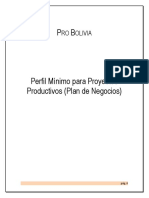 Perfil Minimo Proyectos Productivos