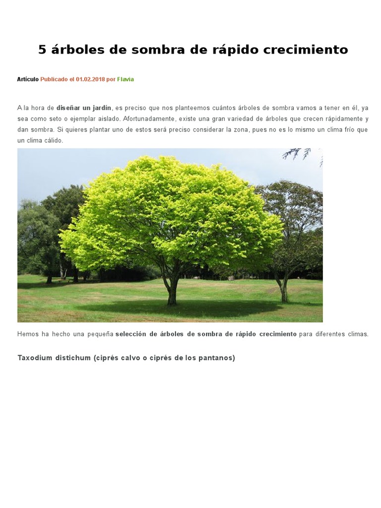 5 Árboles de Sombra de Rápido Crecimiento | PDF | Arboles | Clima, image size:768x1024
