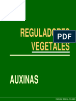 AUXINAS