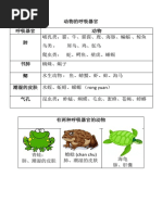 动物的呼吸器官 Pdf