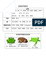 动物的呼吸器官