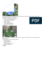 medicinales plantas.docx