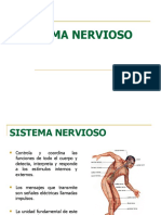 Sistema_nervioso.ppt