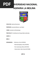 5 Informe de Microbiologia Identificación de Hongos Medio Ambientes (1)
