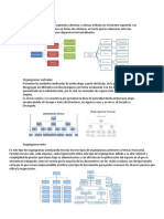 Tipos de Organigramas