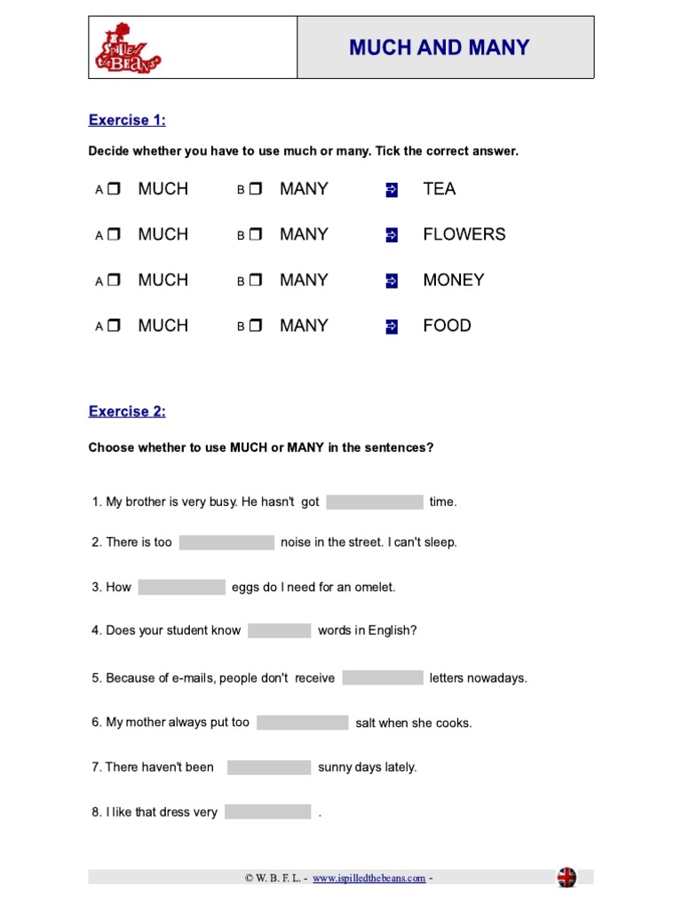 Exercises Much Many | PDF