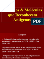 Antigenos e Anticorpos A