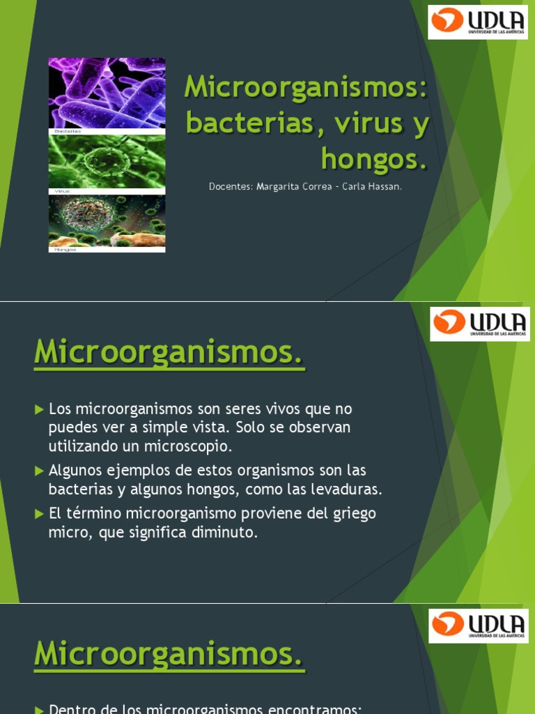 Microorganismos: Tipos y Funciones | PDF | Microorganismo | Las bacterias
