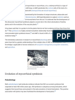 Arbuscular Mycorrhiza - Wikipedia