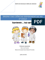 cinciasexperimentaisno1ciclo20122013-121028114507-phpapp01.pdf