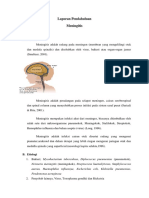 LP Meningitis