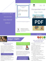 Bebilidad Visual PDF