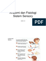 6 Anatomi Dan Fisiologi Sistem Sensori