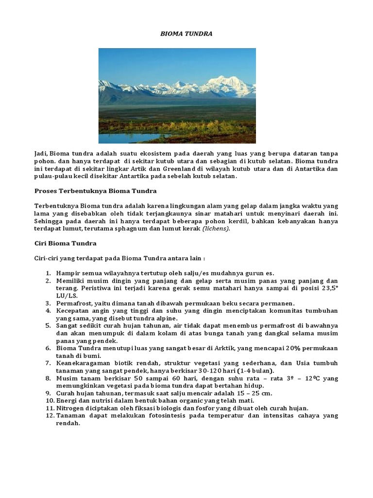 Bioma Tundra Pdf