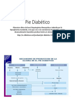 Pie Diabético